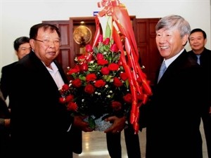 Overseas Vietnamese celebrate Tet