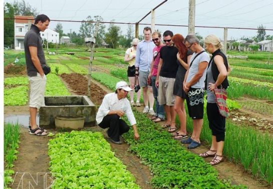 Doing farm work in rural Hoi An 