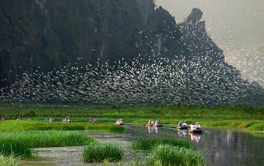 Van Long Wetland Nature Reserve