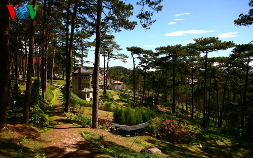 Da Lat – the world’s best city for lovers 