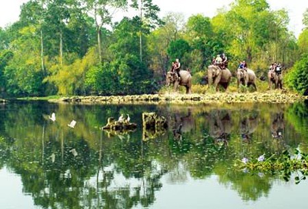 Don village, Dak Lak province 