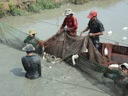 Supporting new rural development in Dong Nai