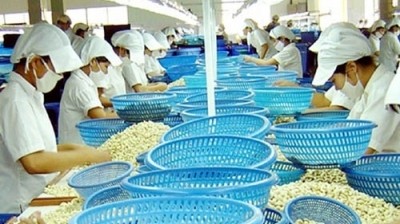 Vietnam’s active in FTA negotiations to boost farm produce exports 