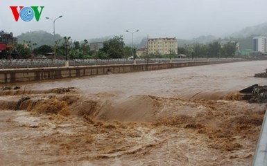 PM Nguyen Tan Dung urges for efforts to overcome flood consequences