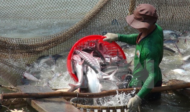 USDA’s inspection program on Vietnamese tra, basa fish unnecessary