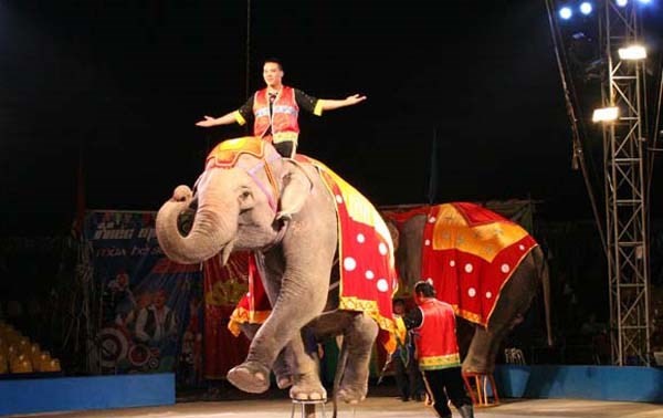 200 performers to compete in Vietnam-Laos-Cambodia circus contest