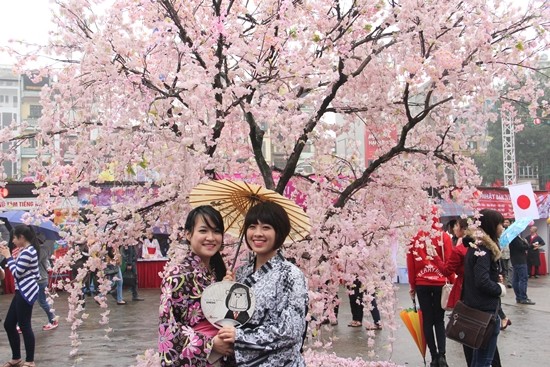 Japanese cherry trees planted in Hanoi