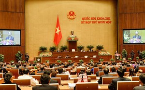 13th National Assembly reformed