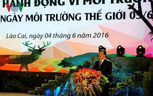 Action Month for Environment launched in Lao Cai province