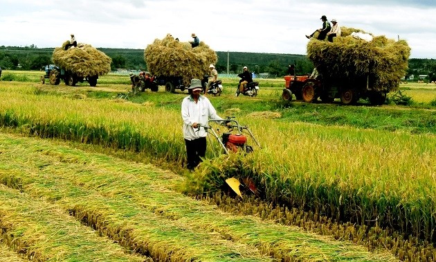 Awards ceremony for 2015 Writing Contest on Agriculture, Farmers and Rural Areas