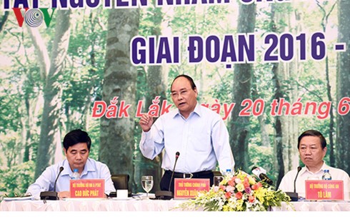 Prime Minister urges central highlands to restore, develop forests 