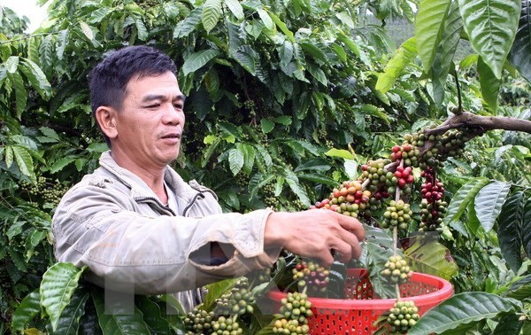 Promoting Vietnamese coffee in Britain