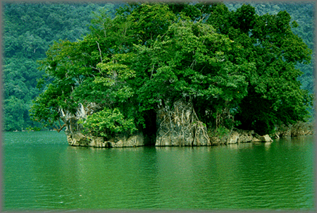 Ba Be National Park, an attraction in Bac Kan