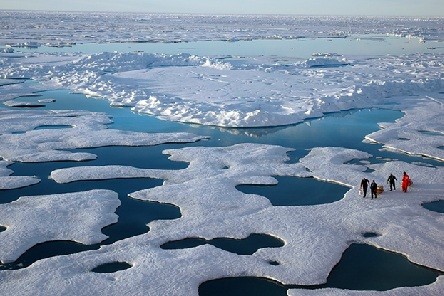 Humans: the main cause of Arctic sea ice melting