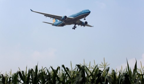 US green-lights direct flights from Vietnam