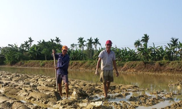 Cong Luong village, where men do farm work, women stay home