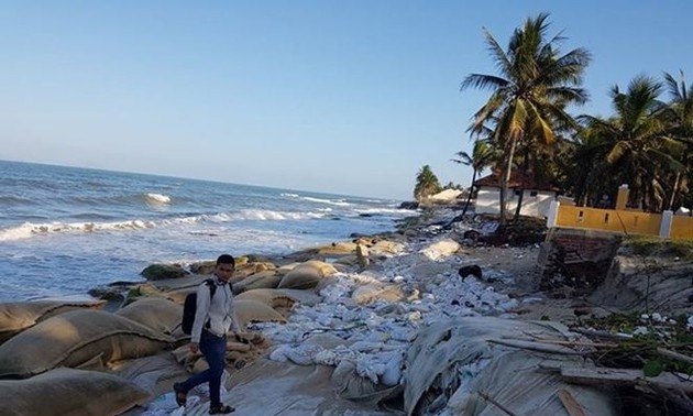 Netherlands supports Vietnam to prevent coastal erosion