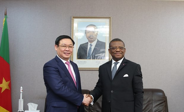 Vietnam wants to boost multi-faceted partnership with Cameroon