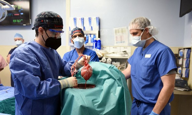 Man implanted with pig heart recovers well