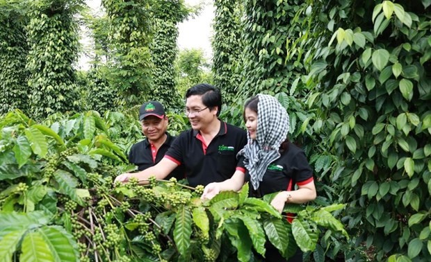 Nestle helps 21,000 farmers in Vietnam shift to regenerative agriculture