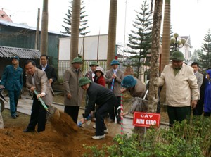 La fête de la plantation d’arbres lancée partout au pays