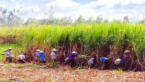 Bilan des 10 ans d’exécution de la résolution du 5ème plénum sur l’économie collective