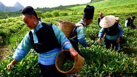 Vietnam est 'un des meilleur pays dans la lutte contre la pauvreté