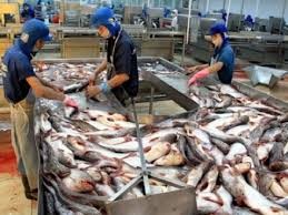 Les éleveurs de pangas vietnamiens contestent la taxe anti-dumping américaine