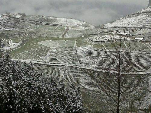 De la neige sur le plateau des rochers calcaires de Dông Van