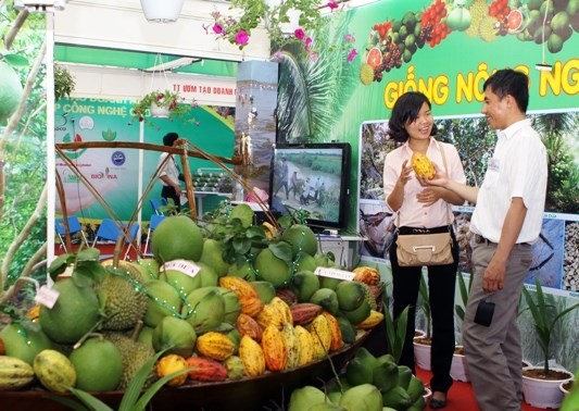 La Foire-exposition de l’industrie, de l’agriculture et du commerce  dans les Hautx plateaux