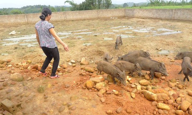 Ninh Móc Sầu, exemple de lutte contre la pauvreté à Mong Cai