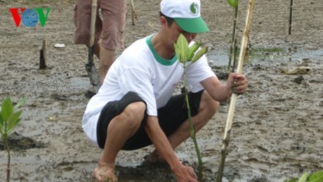 Le 1er festival de la forêt est prévu au Vietnam fin 2014