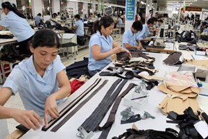 Les exportations vietnamiennes ont enregistré une croissance impressionnante en 2013