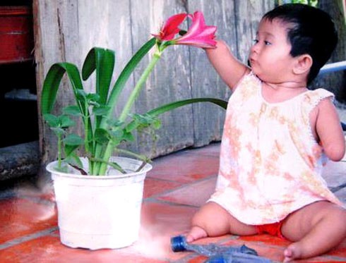 Les victimes vietnamiennes de l’agent orange poursuivent leur combat