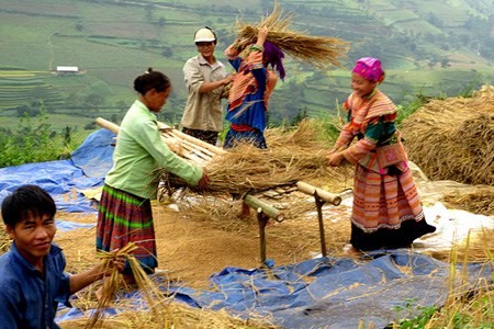 Accompagner le développement du Vietnam