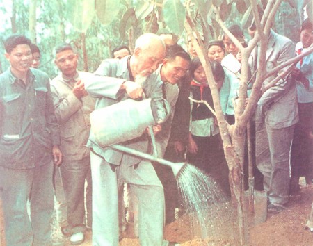 Lancement de la fête de plantation d’arbres dans l’ensemble du Vietnam