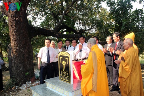 Reconnaissance de nouveaux arbres patrimoines du Vietnam