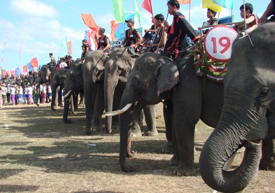 Coup d’envoi de la fête des éléphants de Dak Lak