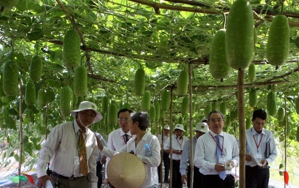 Le Vietnam observe strictement ses engagements sur le développement durable 