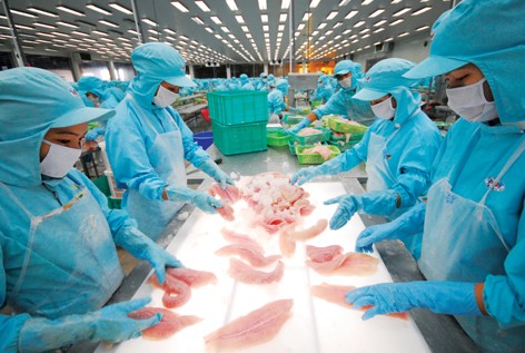 Restructurer la production de pangasius