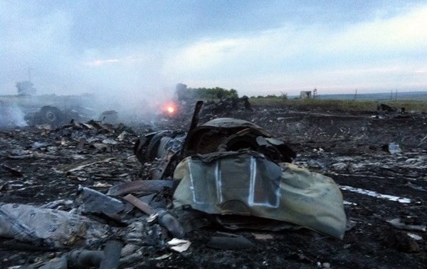 Crash du MH17 : réaction de la communauté internationale