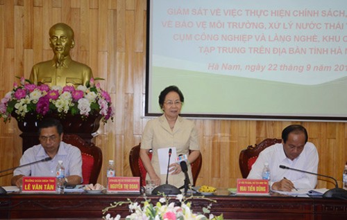  Nguyen Thi Doan rencontre des électeurs de Hà Nam