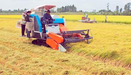 La mécanisation: encore une formule qui fait mouche 