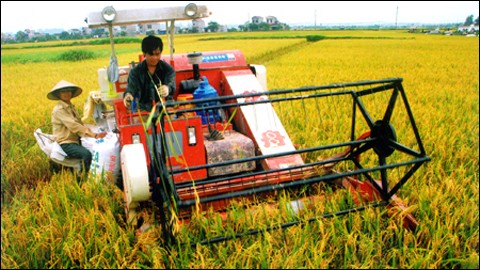 Futurs modèles de restructuration agricole