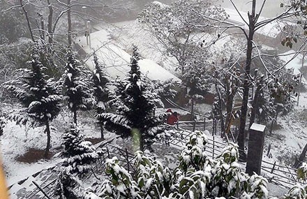 La neige et le froid affectent des centaines d’hectares de cultures maraîchères