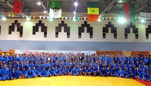 La culture vietnamienne présentée au Championnat de vovinam 2015