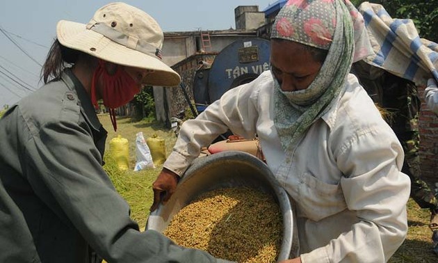 La protection sociale et la sécurité alimentaire dans la réduction de la pauvreté