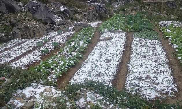 Les habitants de Meo Vac face au froid inhabituel