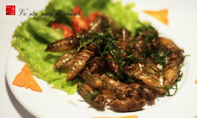 Quán kiến, le restaurant qui fera de vous un insectivore