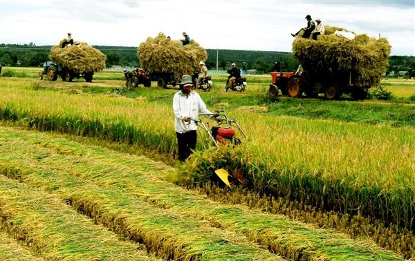 TPP : le secteur agricole face à de nombreux défis 